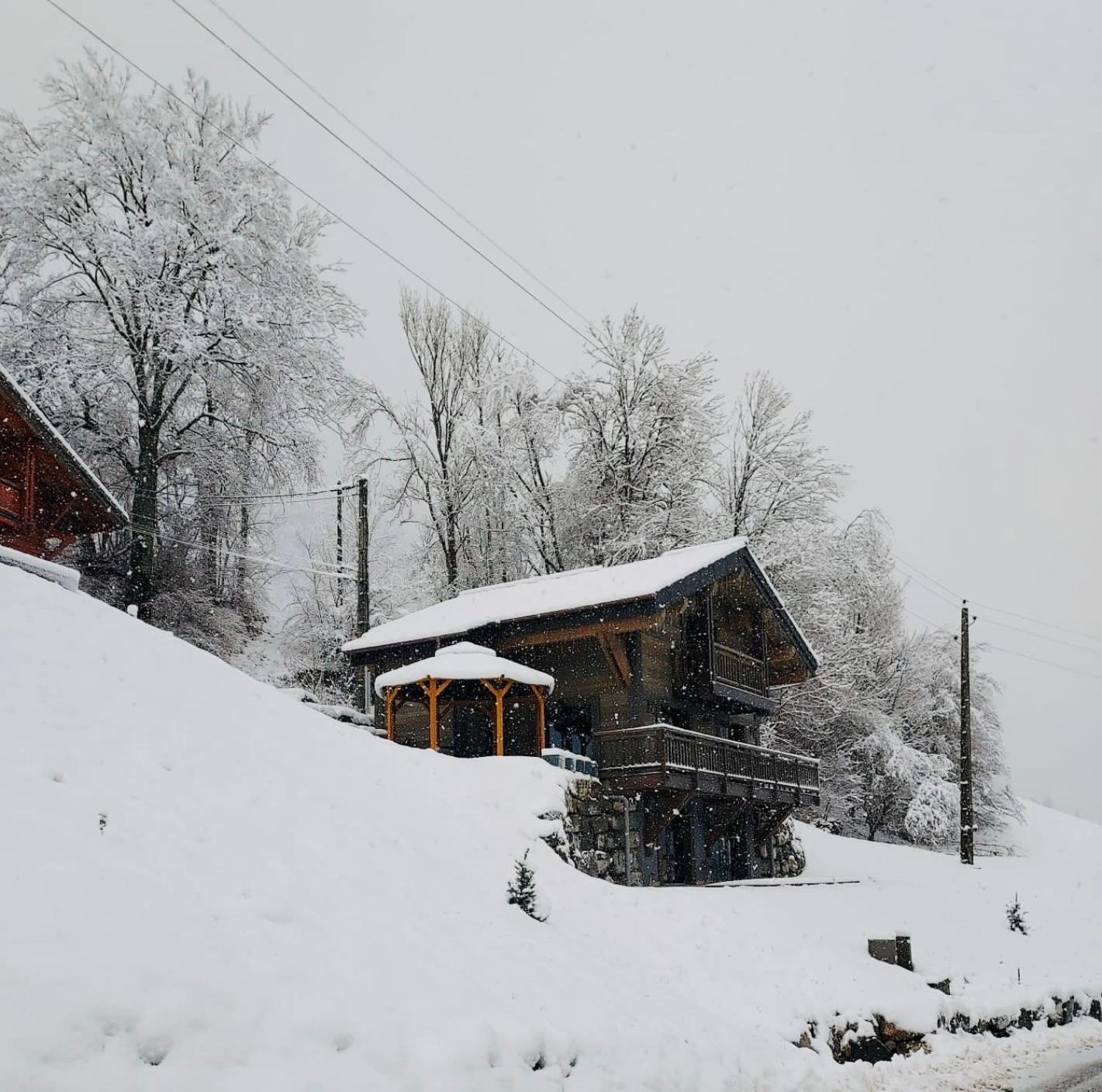 Bonnevaux Chalet Du Bonheur别墅 外观 照片