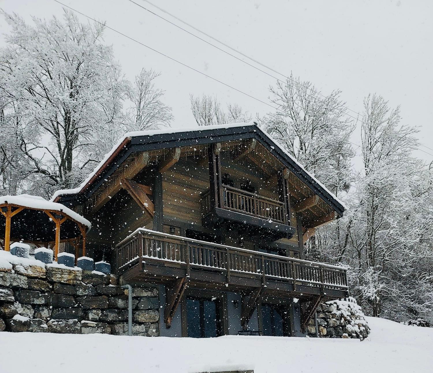 Bonnevaux Chalet Du Bonheur别墅 外观 照片