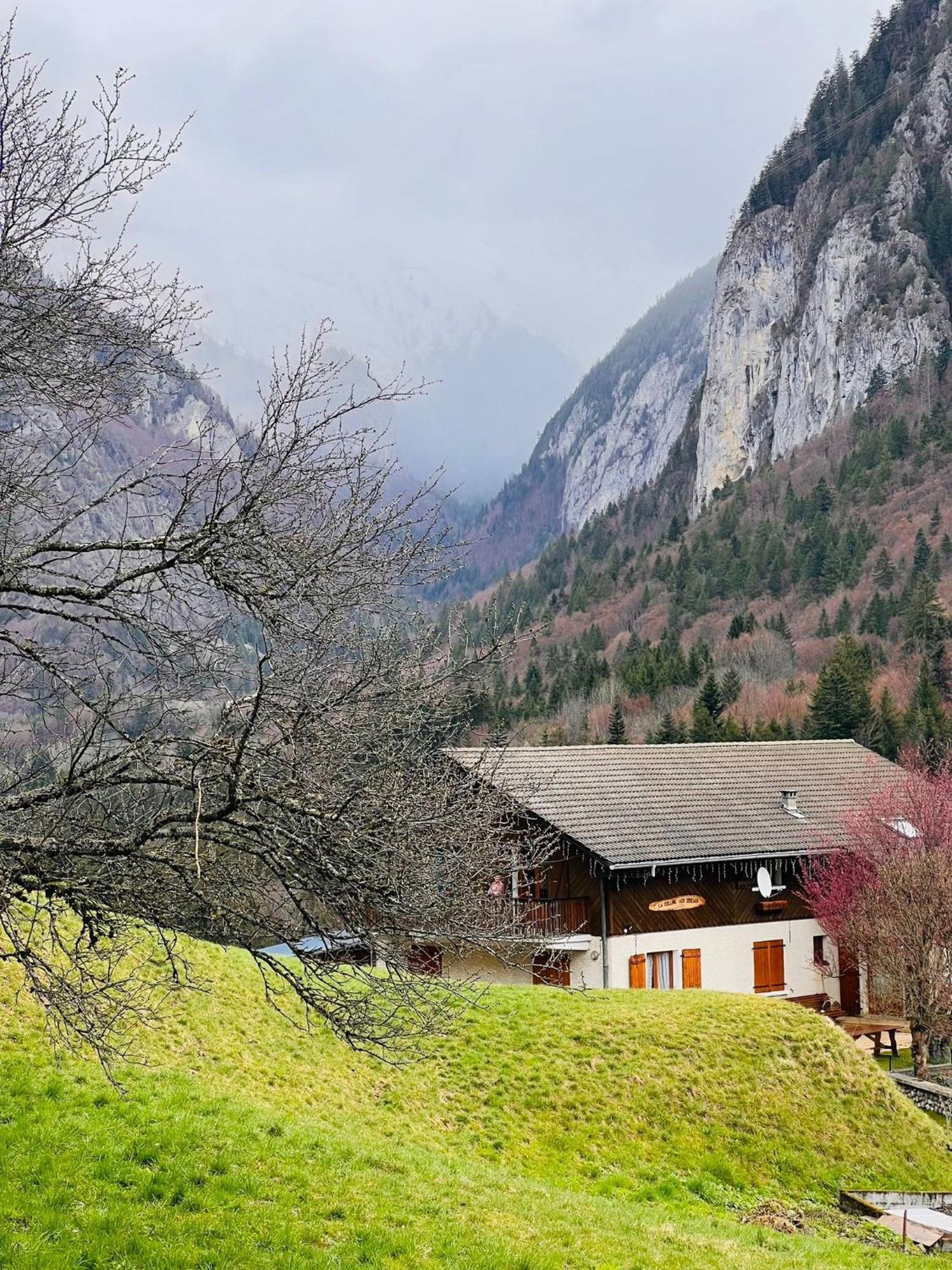 Bonnevaux Chalet Du Bonheur别墅 外观 照片