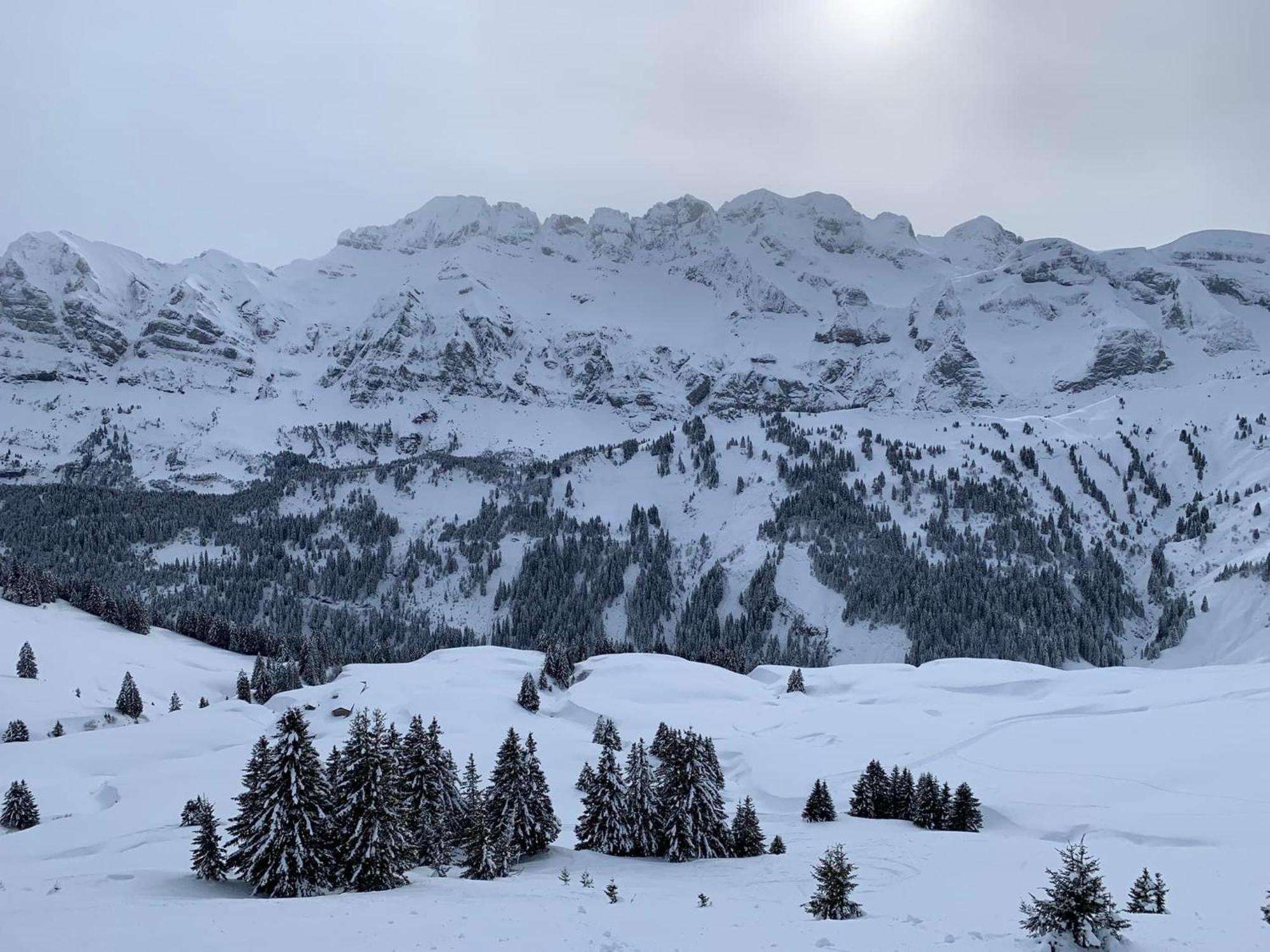 Bonnevaux Chalet Du Bonheur别墅 外观 照片