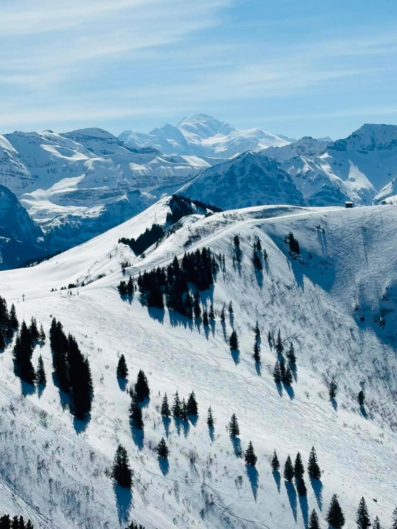 Bonnevaux Chalet Du Bonheur别墅 外观 照片