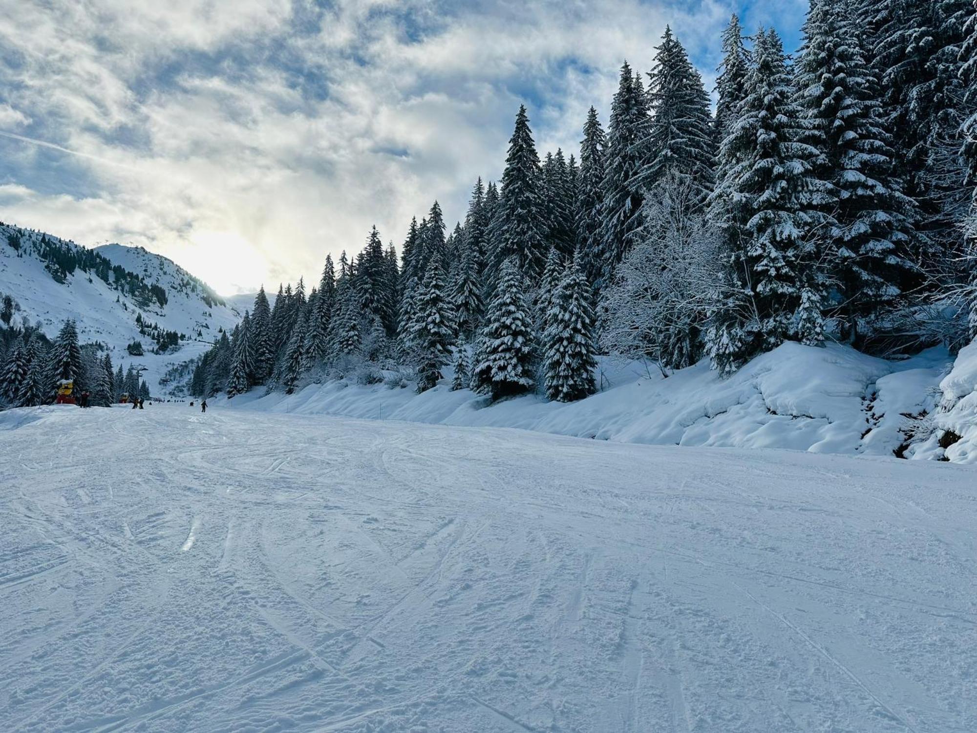 Bonnevaux Chalet Du Bonheur别墅 外观 照片